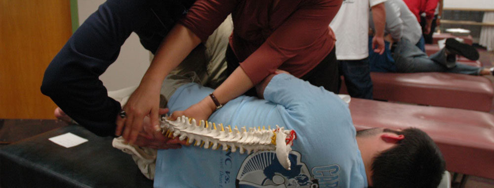 Unsere DC-Studenten erlernen während ihrer Ausbildung zum Chiropraktiker zahlreiche Techniken.