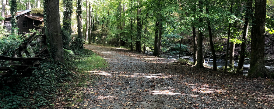 Walking Trails