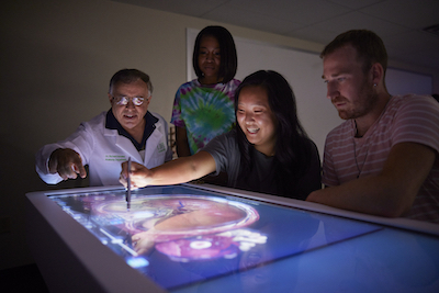 Biology majors earning their bachelor's in biology can leverage their biology degree to pursue careers in chiropractic and other health fieldss.