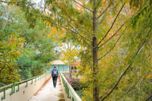 Estudiante caminando por un puente del campus lIfe u en otoño