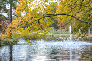 Life U's pond and water fountain in fall