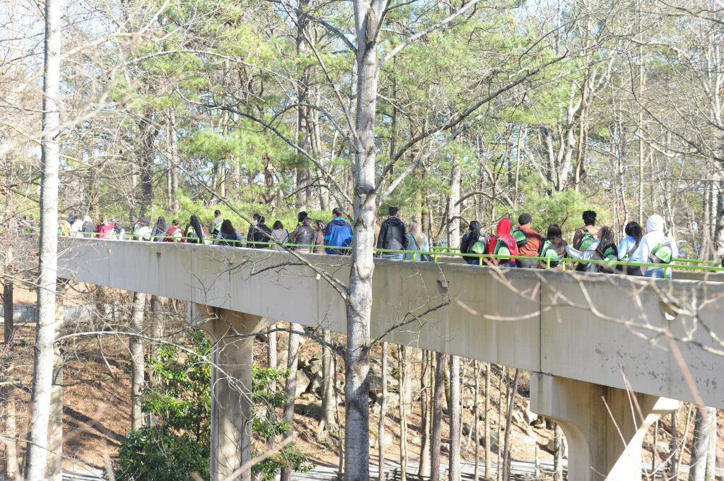 group of people walking across a bridge surrounded by trees